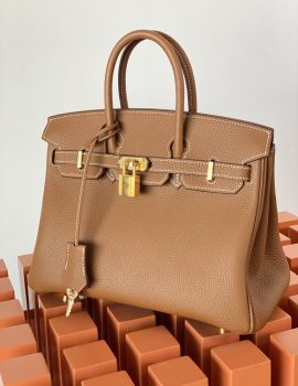Hermès Togo Birkin 25 in Gold