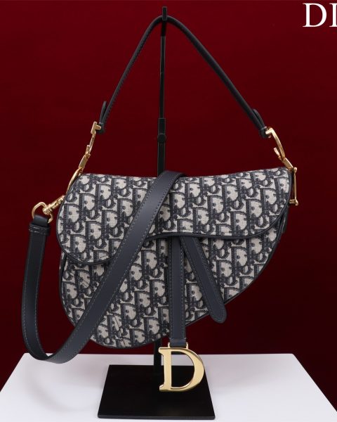Dior Saddle Bag with Strap