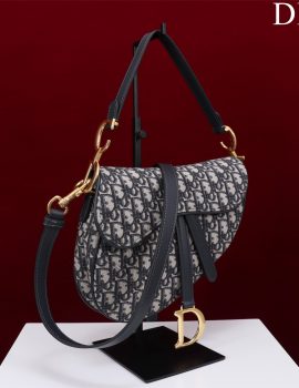 Dior Saddle Bag with Strap