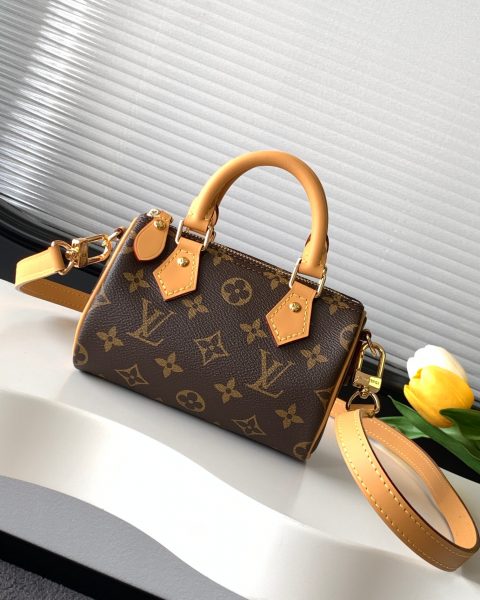 Louis Vuitton Nano Speedy in Monogram