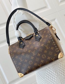 Louis Vuitton Speedy Trunk 20