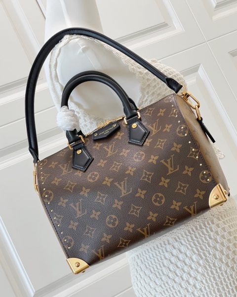 Louis Vuitton Speedy Trunk 20